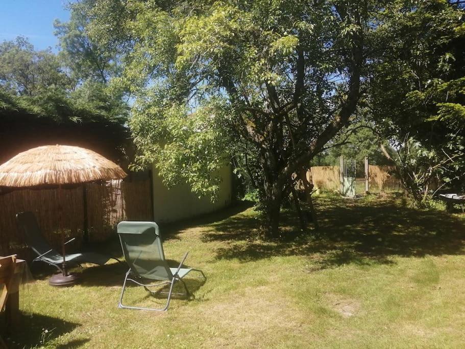 Maison " Bouton D'Or" Au Bord De L'Eau, A 10 Mn De Tours , Meuble Classe Une Etoile Saint-Avertin Extérieur photo