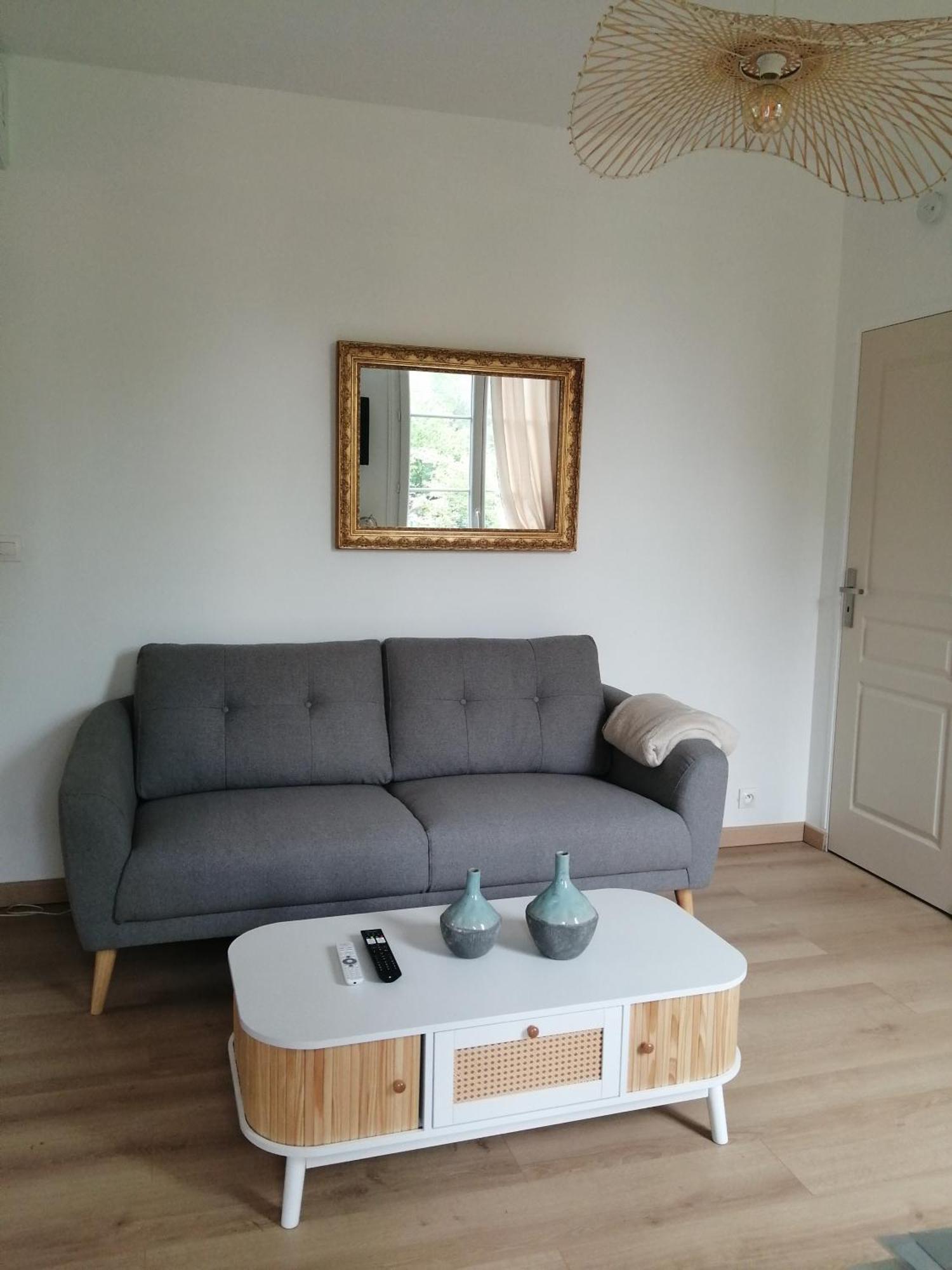 Maison " Bouton D'Or" Au Bord De L'Eau, A 10 Mn De Tours , Meuble Classe Une Etoile Saint-Avertin Extérieur photo