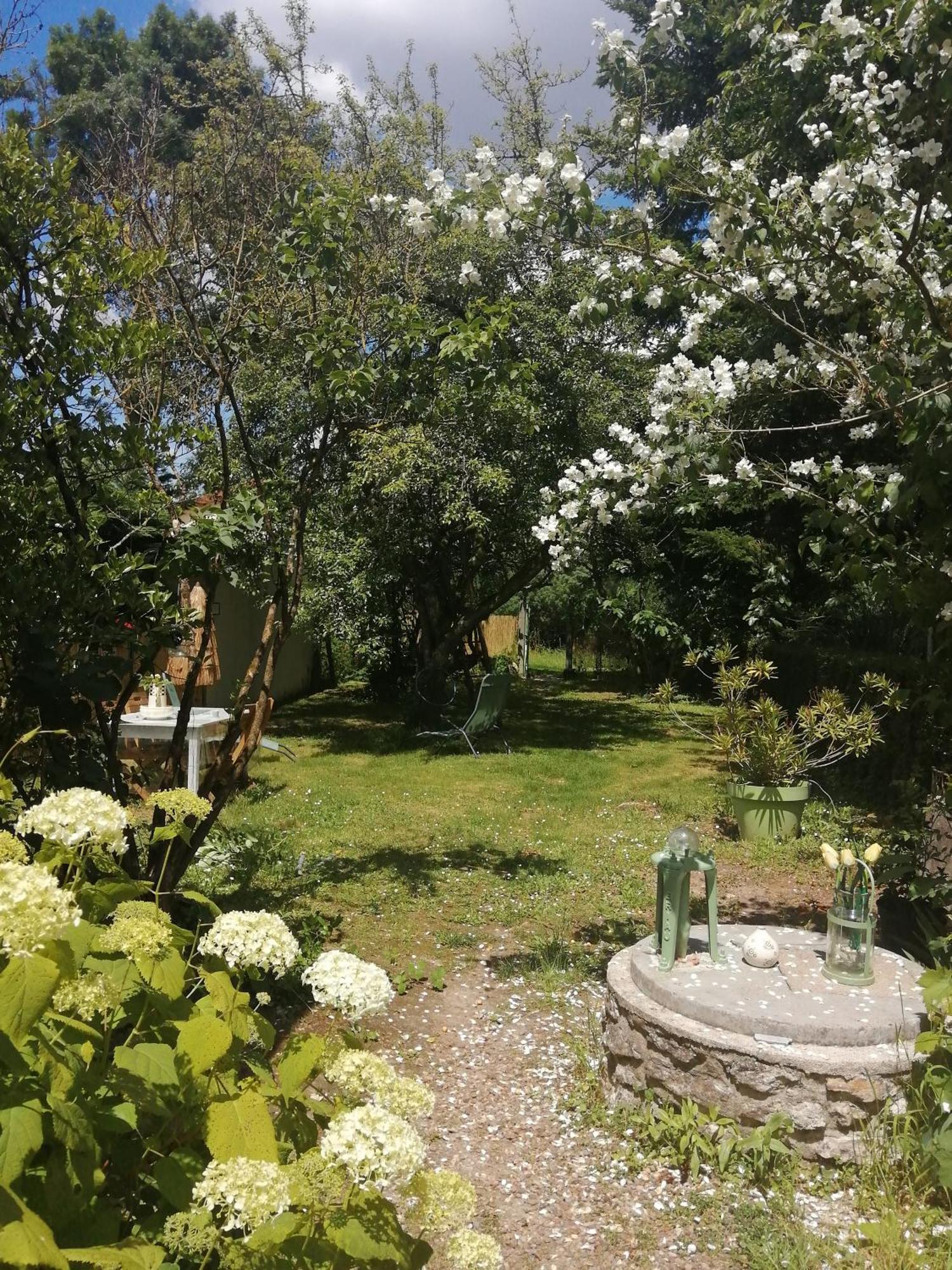 Maison " Bouton D'Or" Au Bord De L'Eau, A 10 Mn De Tours , Meuble Classe Une Etoile Saint-Avertin Extérieur photo